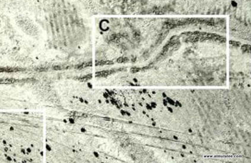 post-image