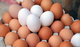 خبير إقتصادي: العراقيون يستهلكون سبعة مليارات بيضة سنوياً بقرابة مليار دولار