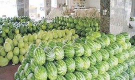 إحصائية: العراق أنتج أكثر من 400 ألف طن من فاكهة "الرّقي" العام الماضي