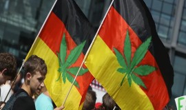 صحيفة فرنسية: ألمانيا تواجه تحديات كبرى بعد تشريع استخدام الحشيش